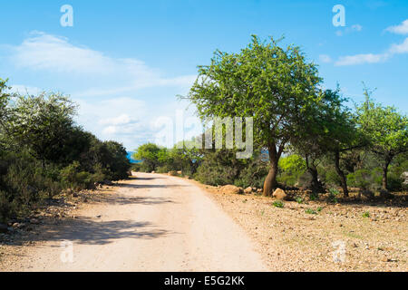 Wilde Straße in Ogliastra, Baunei, Sardinien, Italien Stockfoto