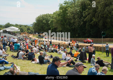 Zuschauer beim Goodwood Festival of Speed, Sommer 2014. Stockfoto