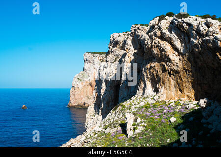 Capo Caccia Klippen in der Nähe von Alghero, Sardinien, Italien Stockfoto