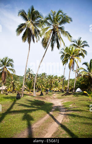 Der Tayrona National Park befindet sich in der Karibik-Region in Kolumbien. Seine Fläche ist Teil der Abteilung von Magdalena.   EINE 3 Stockfoto