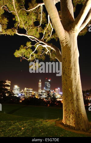 Stadt Perth, Western Australia in der Nacht von Kings Park betrachtet. Stockfoto