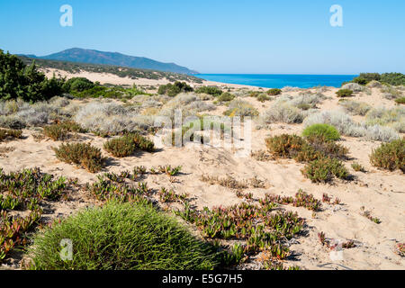 Piscinas Strand Dünen in grüne Küste, West Sardinien, Italien Stockfoto