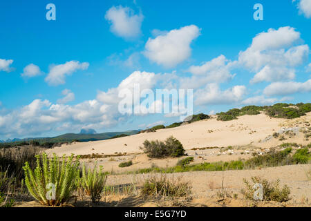 Piscinas Strand Dünen in grüne Küste, West Sardinien, Italien Stockfoto