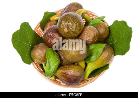 Süße Feigen jetzt in meinem Garten geerntet Stockfoto