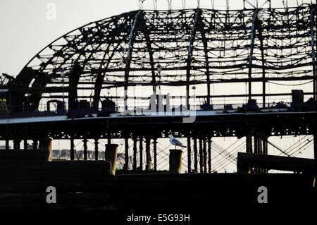 Eastbourne, Sussex, UK. 31. Juli 2014.  Die verschlungenen Wrack von Eastbourne Pier heute Morgen übermorgen tfire Stockfoto