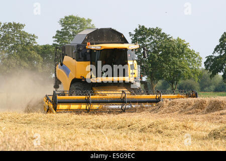 Maehdrescher Drescher Dreschen Weizen Roggen Landwirtschaftsartikeln Feld Weizenfeld Investmentfirmen Roggenfeld Stroh Strohballen Ballen Ernte Weizen Stockfoto