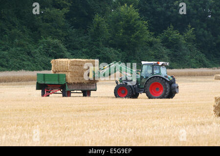 Trecker Traktor Stroh Strohballen Strohernte Weizen Roggen Landwirtschaftsartikeln Feld Weizenfeld Investmentfirmen Roggenfeld Ballen Ernte Weizenernt Stockfoto