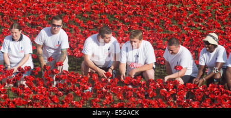 London, UK. 30. Juli 2014. Freiwillige aus 'Coming Home', Haig Housing Charity Fundraising-Kampagne betrachten die gepflanzten Blumen. Ein Feld von Keramik Mohn wird von Freiwilligen in den Wassergraben des Tower of London gepflanzt. Es wird schließlich bestehen aus 888.246 Mohn, jeweils ein britischer oder Kolonialsoldaten während des ersten Weltkrieges gefallen. Bildnachweis: Nick Savage/Alamy Live-Nachrichten Stockfoto