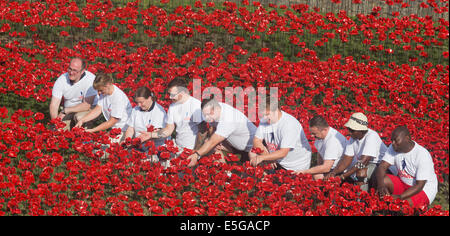 London, UK. 30. Juli 2014. Freiwillige aus 'Coming Home', Haig Housing Charity Fundraising-Kampagne betrachten die gepflanzten Blumen. Ein Feld von Keramik Mohn wird von Freiwilligen in den Wassergraben des Tower of London gepflanzt. Es wird schließlich bestehen aus 888.246 Mohn, jeweils ein britischer oder Kolonialsoldaten während des ersten Weltkrieges gefallen. Bildnachweis: Nick Savage/Alamy Live-Nachrichten Stockfoto