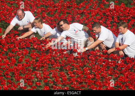 London, UK. 30. Juli 2014. Freiwillige aus 'Coming Home', Haig Housing Charity Fundraising-Kampagne betrachten die gepflanzten Blumen. Ein Feld von Keramik Mohn wird von Freiwilligen in den Wassergraben des Tower of London gepflanzt. Es wird schließlich bestehen aus 888.246 Mohn, jeweils ein britischer oder Kolonialsoldaten während des ersten Weltkrieges gefallen. Bildnachweis: Nick Savage/Alamy Live-Nachrichten Stockfoto