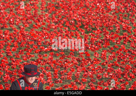 London, UK. 30. Juli 2014. Ein Yeoman Warder auf dem Gebiet der Keramik Mohnblumen. Ein Feld von Keramik Mohn wird von Freiwilligen in den Wassergraben des Tower of London gepflanzt. Es wird schließlich bestehen aus 888.246 Mohn, jeweils ein britischer oder Kolonialsoldaten während des ersten Weltkrieges gefallen. Bildnachweis: Nick Savage/Alamy Live-Nachrichten Stockfoto