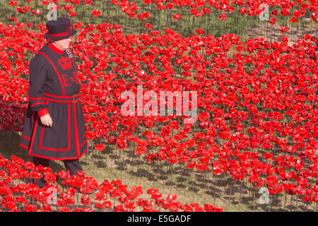 London, UK. 30. Juli 2014. Ein Yeoman Warder auf dem Gebiet der Keramik Mohnblumen. Ein Feld von Keramik Mohn wird von Freiwilligen in den Wassergraben des Tower of London gepflanzt. Es wird schließlich bestehen aus 888.246 Mohn, jeweils ein britischer oder Kolonialsoldaten während des ersten Weltkrieges gefallen. Bildnachweis: Nick Savage/Alamy Live-Nachrichten Stockfoto