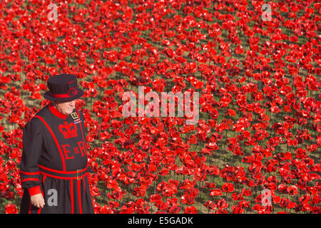 London, UK. 30. Juli 2014. Ein Yeoman Warder auf dem Gebiet der Keramik Mohnblumen. Ein Feld von Keramik Mohn wird von Freiwilligen in den Wassergraben des Tower of London gepflanzt. Es wird schließlich bestehen aus 888.246 Mohn, jeweils ein britischer oder Kolonialsoldaten während des ersten Weltkrieges gefallen. Bildnachweis: Nick Savage/Alamy Live-Nachrichten Stockfoto