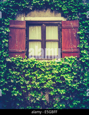 Haus im Efeu bedeckt Stockfoto