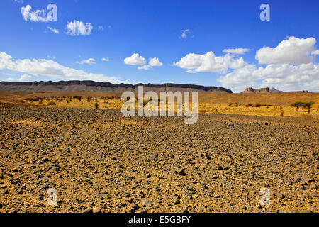 Ch'Gagga Wüste 5 Stunden Fahrt nach Amerzgane, 4wheel Drive über trockene See Iriki Bett, einmal einen riesigen See, Sahara, Süden von Marokko Stockfoto