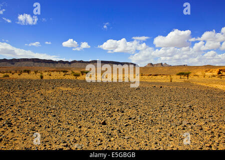 Ch'Gagga Wüste 5 Stunden Fahrt nach Amerzgane, 4wheel Drive über trockene See Iriki Bett, einmal einen riesigen See, Sahara, Süden von Marokko Stockfoto