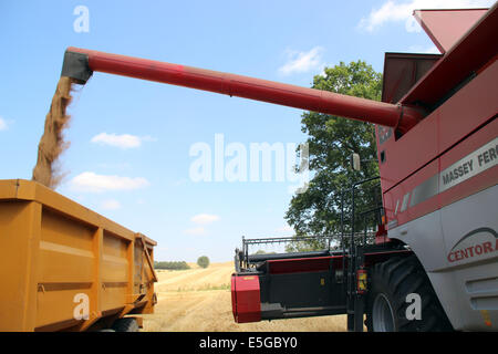 Nuneham Courtenay, Oxfordshire, Vereinigtes Königreich. 30. Juli 2014. Weizenernte auf Nuneham Courtenay. Bildnachweis: Shane Leach / Alamy Live News Stockfoto