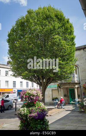 Ein kleines Quadrat mit einer mittleren Baum und kleines Café in Devizes, UK Stockfoto