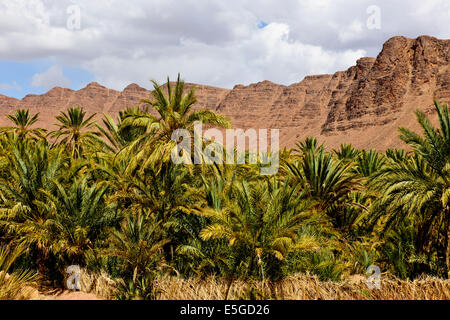 Ch'Gagga Wüste 5 Stunden Fahrt nach Amerzgane, 4wheel Drive über trockene See Iriki Bett, einmal einen riesigen See, Sahara, Süden von Marokko Stockfoto