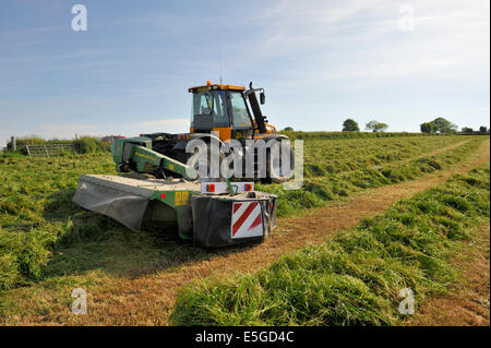 Landwirtschaftlichen Bereich mit Heu zerbrach um Hilfe trocknen mit Traktor ausgestattet mit "Heu Bob" in der Nähe von Cardigan Stockfoto