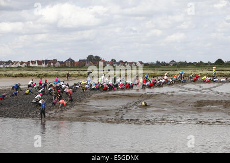 Die schrulligen jährliche 'Mad' Maldon Mud Race, gehaltenen späten Frühjahr / Anfang Sommer abhängig von den Gezeiten in Maldon, Essex, England Stockfoto