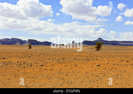 Ch'Gagga Wüste 5 Stunden Fahrt nach Amerzgane, 4wheel Drive über trockene See Iriki Bett, einmal einen riesigen See, Sahara, Süden von Marokko Stockfoto