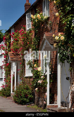 Alten englischen Cottages mit Kletterrosen über Veranda Eingänge, East Hendred, Oxfordshire, England Stockfoto
