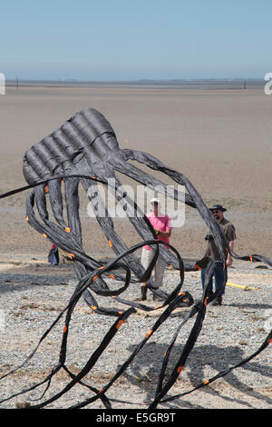 Mann eine schwarze Krake Drachen am Strand von Morecambe Drachenfest Stockfoto