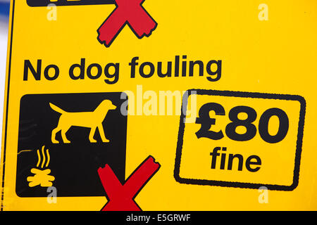 kein Hund fouling Warnschild mit Gemeinderat 80 Pfund feinen im Vereinigten Königreich Stockfoto