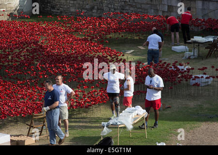 Freiwillige Pflanzen Keramik Mohnblumen, um Großbritanniens Engagement im ersten Weltkrieg, am 5. August 2014 vor 100 Jahren zu gedenken Stockfoto