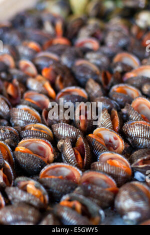 Austern, Miesmuscheln und Jakobsmuscheln auf asiatischen Markt Stockfoto