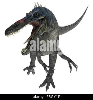 Digitale 3D Rendern von einem Suchomimus Tenerensis isoliert auf weißem Hintergrund Stockfoto