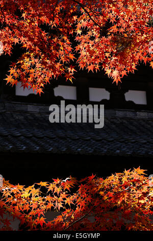 Tofuku-Ji-Tempel, Kyoto, Japan. Stockfoto