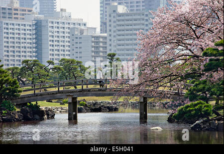 Hama-Rikyu Garten, Tokio, Japan. Stockfoto