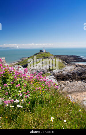 Mumbles Head Leuchtturm im Sommer mit Red Valerian Blumen im Vordergrund Y Mwmbwls Swansea ˈswɒnzɪ South Wales UK Stockfoto