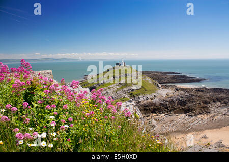 Mumbles Head Leuchtturm im Sommer mit Red Valerian Blumen im Vordergrund Y Mwmbwls Swansea ˈswɒnzɪ South Wales UK Stockfoto