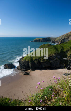 Cilborth Strand Llangrannog Ceredigion Cardigan Bay Mid Wales UK Stockfoto