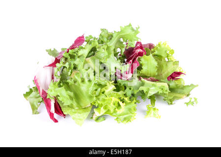 Grüner Salat Blätter Nahaufnahme auf weißem Hintergrund Stockfoto