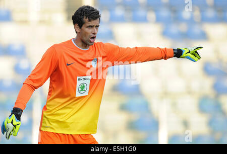 Mlada Boleslav, Tschechien. 31. Juli 2014. UEFA Europa League, 3. Qualifying Runde Spiel FK Mlada Boleslav Vs Olympique Lyon in Mlada Boleslav, Tschechien am 31. Juli. Ales Hruska Mlada Boleslav. © CTK/Alamy Live-Nachrichten Stockfoto