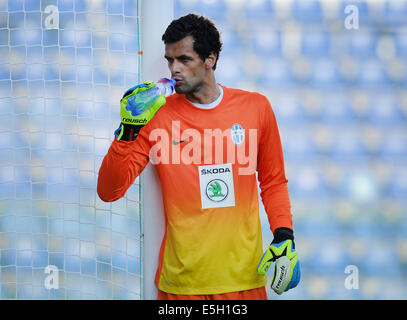 Mlada Boleslav, Tschechien. 31. Juli 2014. UEFA Europa League, 3. Qualifying Runde Spiel FK Mlada Boleslav Vs Olympique Lyon in Mlada Boleslav, Tschechien am 31. Juli. Ales Hruska Mlada Boleslav. © CTK/Alamy Live-Nachrichten Stockfoto
