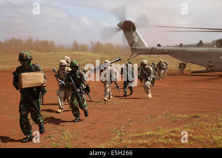 Indonesische und US-Marines laufen aus einem US-Marinekorps CH-53E Super Stallion-Hubschrauber auf dem Truppenübungsplatz Kahuku in Oahu Stockfoto