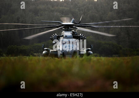 Ein CH-53E Super Stallion Helikopter, Rufzeichen "Slayer," Marine schwere Hubschrauber Geschwader 463 "Pegasus zugewiesen Stockfoto