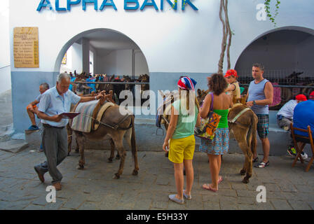 Esel sind die traditionellen Transport rund um die Stadt Lindos, Rhodos, Dodekanes, Griechenland, Europa Stockfoto