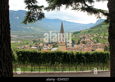 Blick auf Tramin / Tramin in Trentino-Alto Adige / Sud Tirol zwischen Bäumen Stockfoto