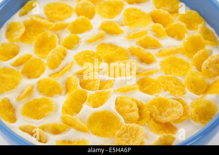 Cornflakes und Milch in Schüssel Stockfoto