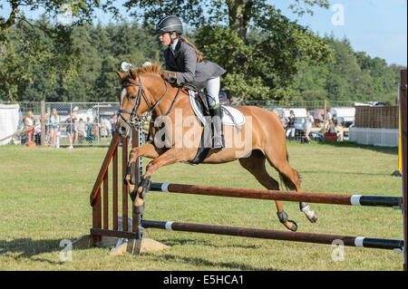 Ponys im Wettbewerb mit einem Springturnier im "New Forest & Hampshire County Show 2014". Stockfoto