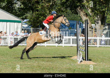 Ponys im Wettbewerb mit einem Springturnier im "New Forest & Hampshire County Show 2014". Stockfoto