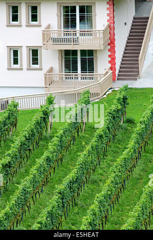 Details eines Hauses aus Tramin / Tramin mit Eingang in den Weinbergen Stockfoto