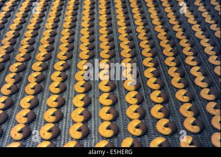 Novara (Italien), Pavesi Pflanze (Barilla-Gruppe), Produktionslinie von Keksen Stockfoto