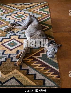Die Deutsche Dogge und Deutsche Dogge, liegend auf geometrisch gemusterten Teppich Stockfoto